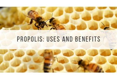 Propolis in de Bee Balm